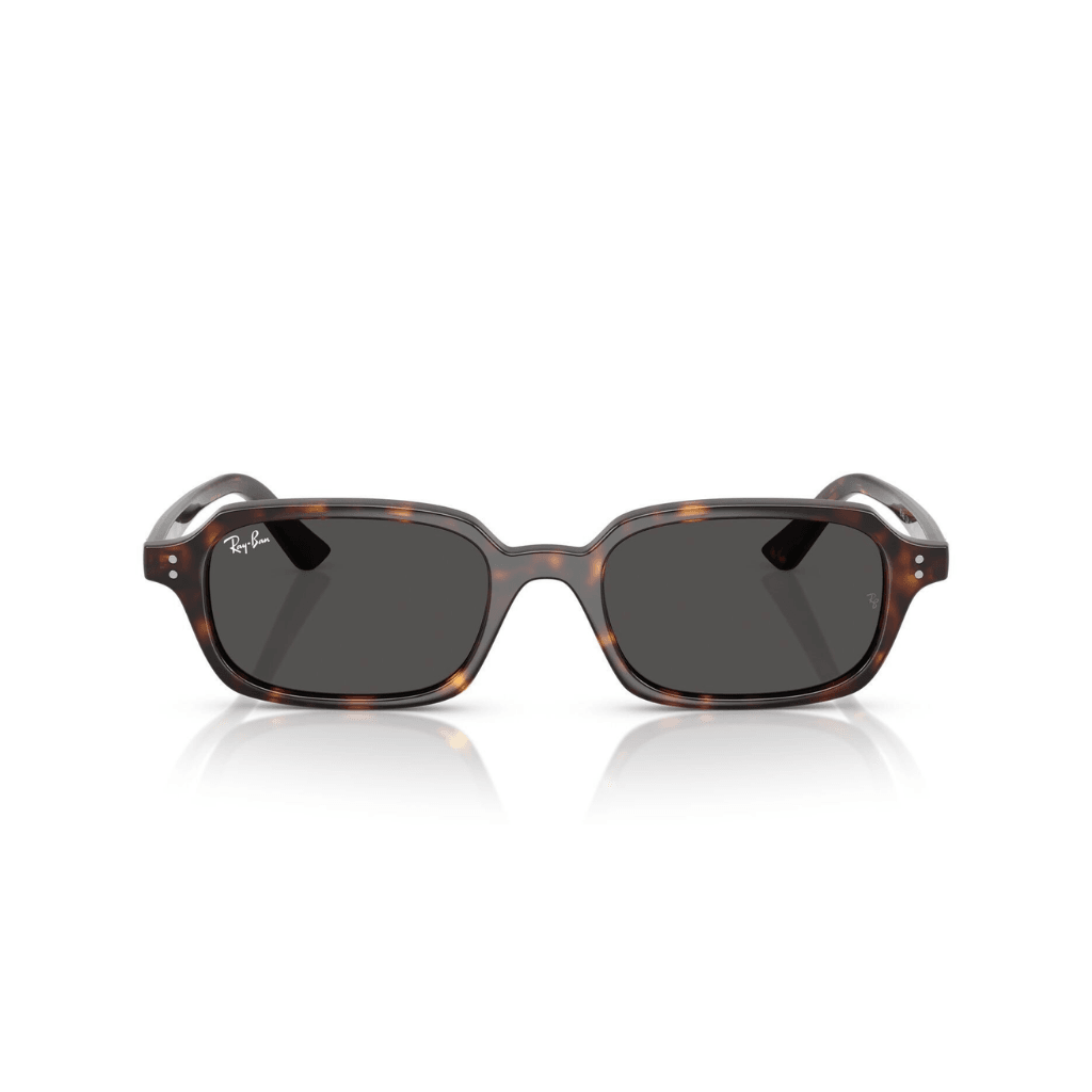 Ray-Ban 4455 1359/87 52-19 Unisex Güneş Gözlüğü