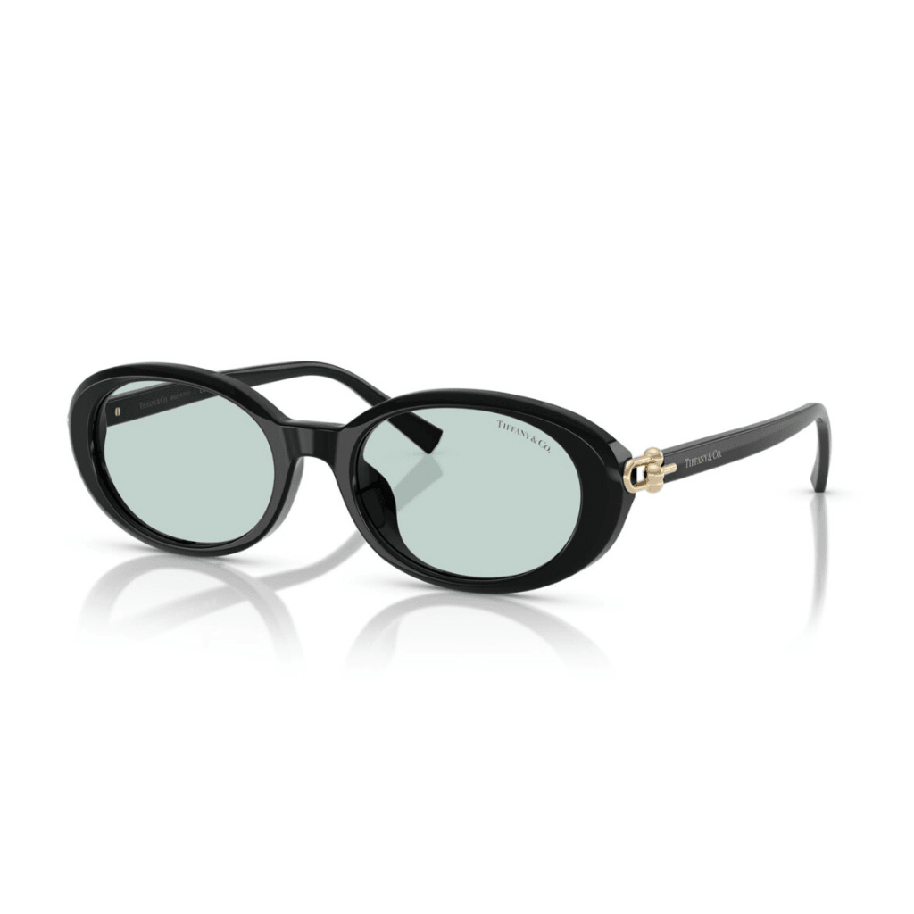 Tiffany & Co 4242-D 8001/D9 54-19 Kadın Güneş Gözlüğü