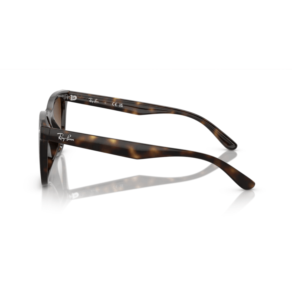 Ray-Ban 4420 710/13 65-18 Unisex Güneş Gözlüğü