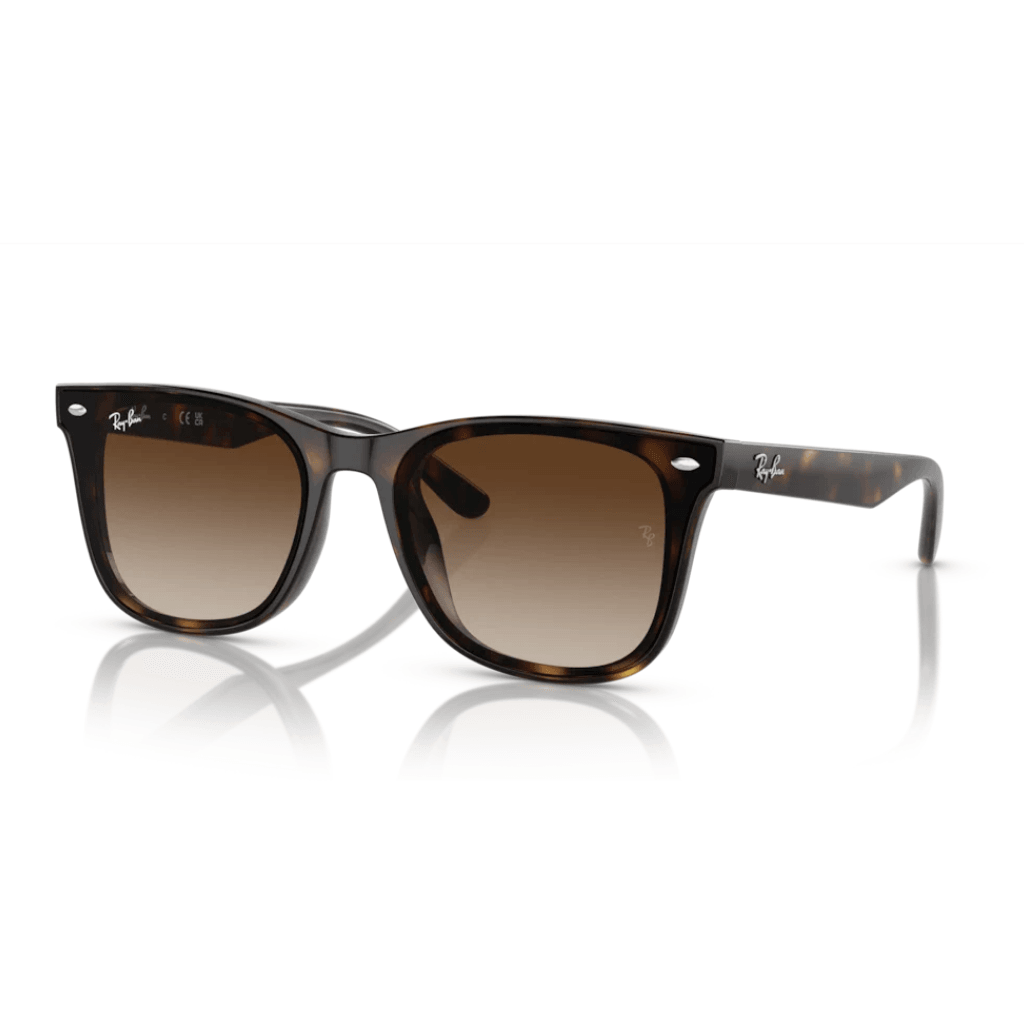 Ray-Ban 4420 710/13 65-18 Unisex Güneş Gözlüğü