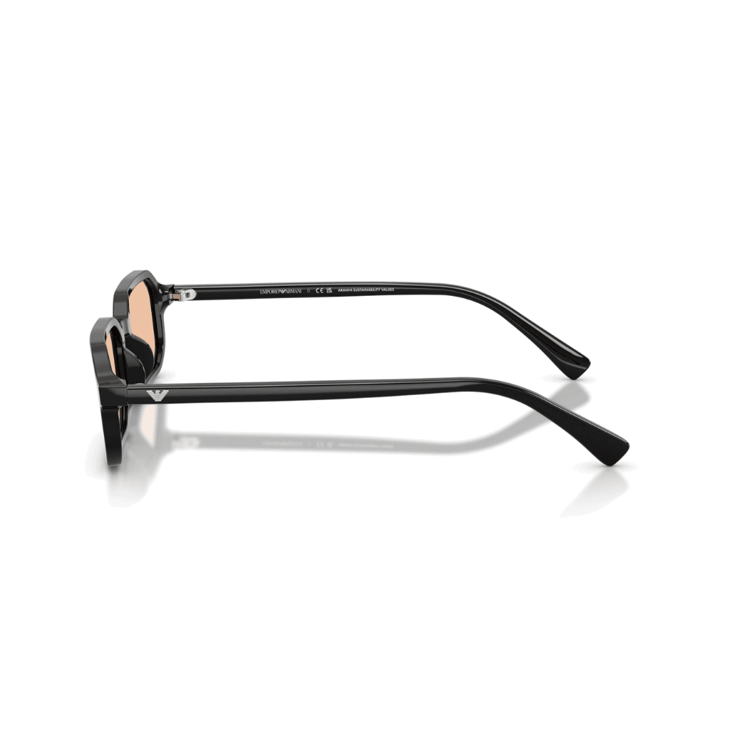 Emporio Armani 4253U 5017/93 54-21 Unisex Güneş Gözlüğü