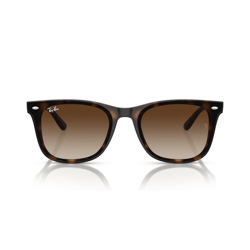 Ray-Ban 4420 710/13 65-18 Unisex Güneş Gözlüğü