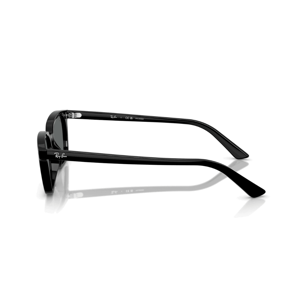 Ray-Ban 4456 6677/81 53-19 Kadın Güneş Gözlüğü