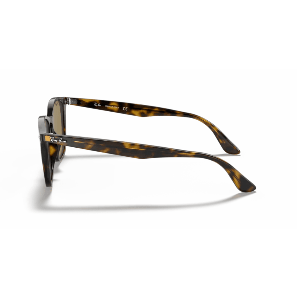 Ray-Ban 4258 710/73 50-20 Unisex Güneş Gözlüğü