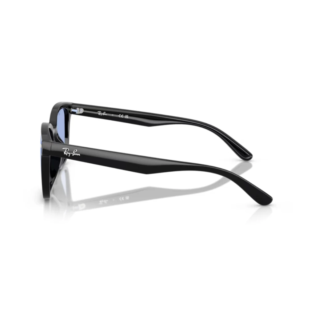 Ray-Ban 4461D 601/80 64-17 Unisex Güneş Gözlüğü