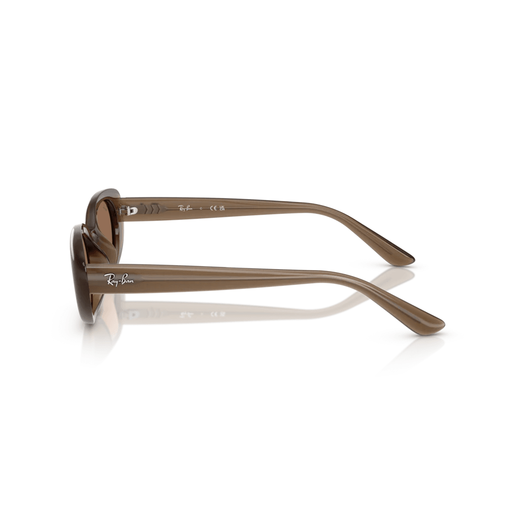 Ray-Ban 4441D 677973 53-21 Kadın Güneş Gözlüğü
