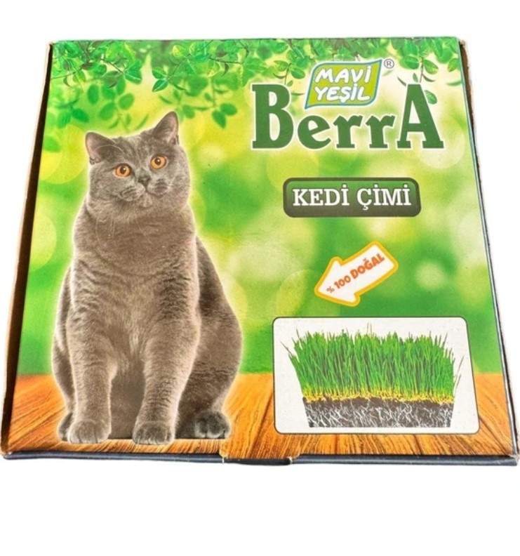 Berra Kedi Çimi