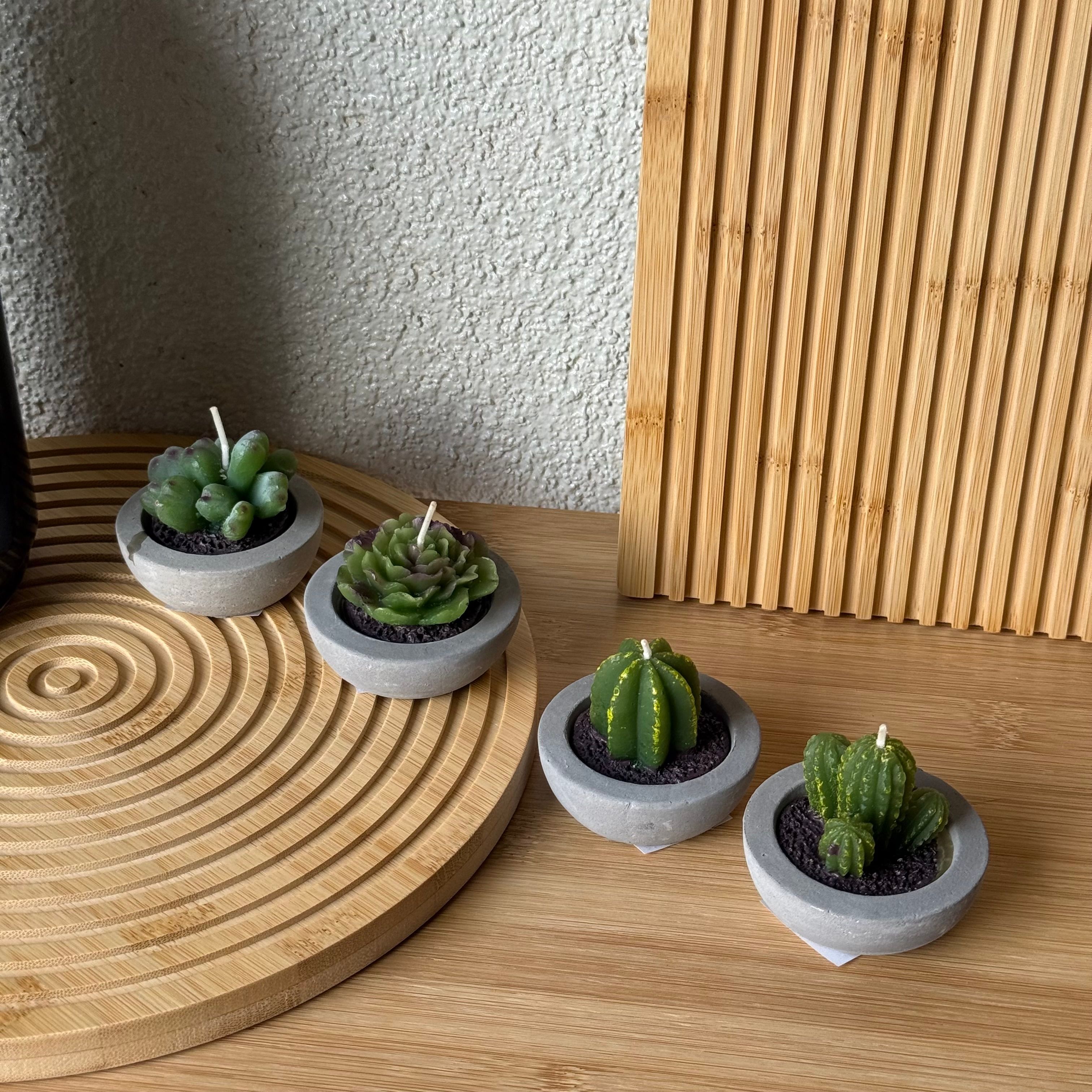 Kaktüs Saksılı Çiçek Mum Seti 4 Adet 6 CM 