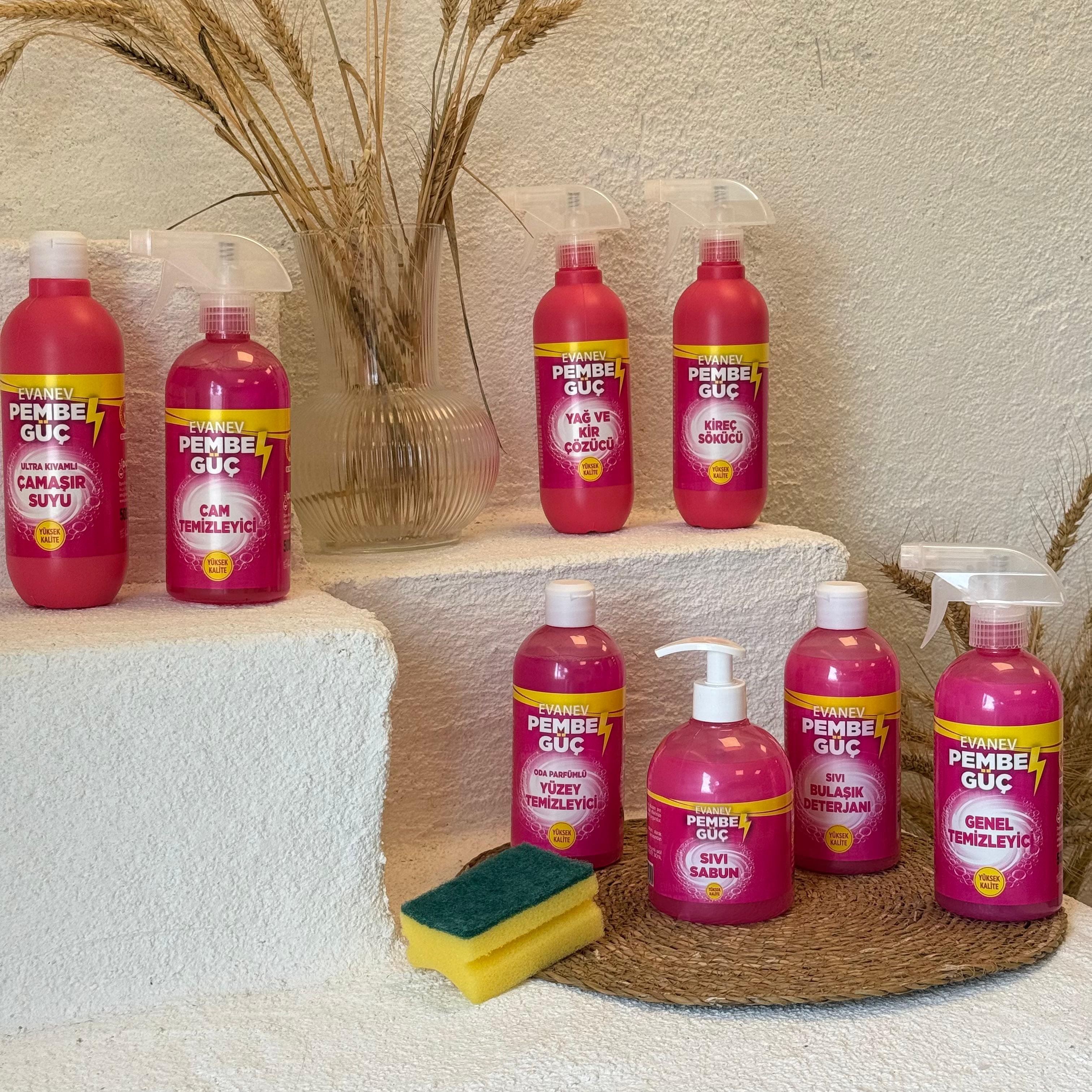 Pembe Güç, Tüm Temizlik Setin Bir Arada, A Kalite Süper Fiyat (9 Parça Set)