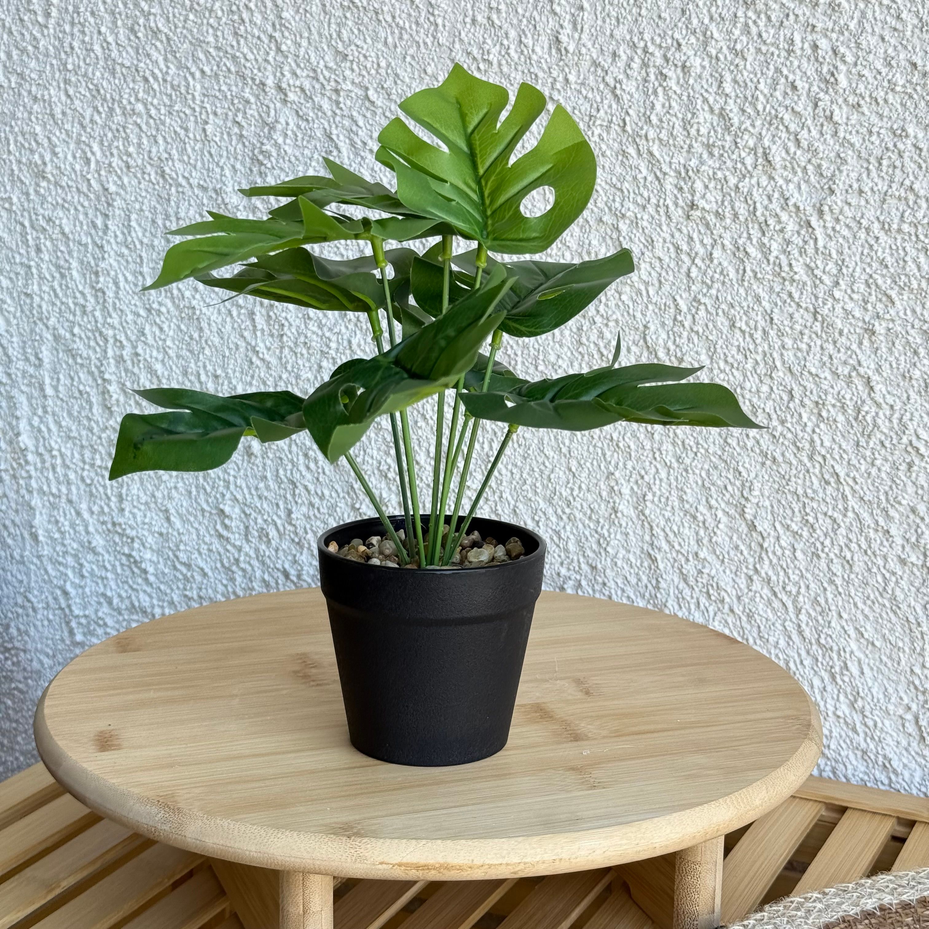 Difenbahya Saksılı Yapay Çiçek 25 cm Düz Yeşil Yapraklı 
