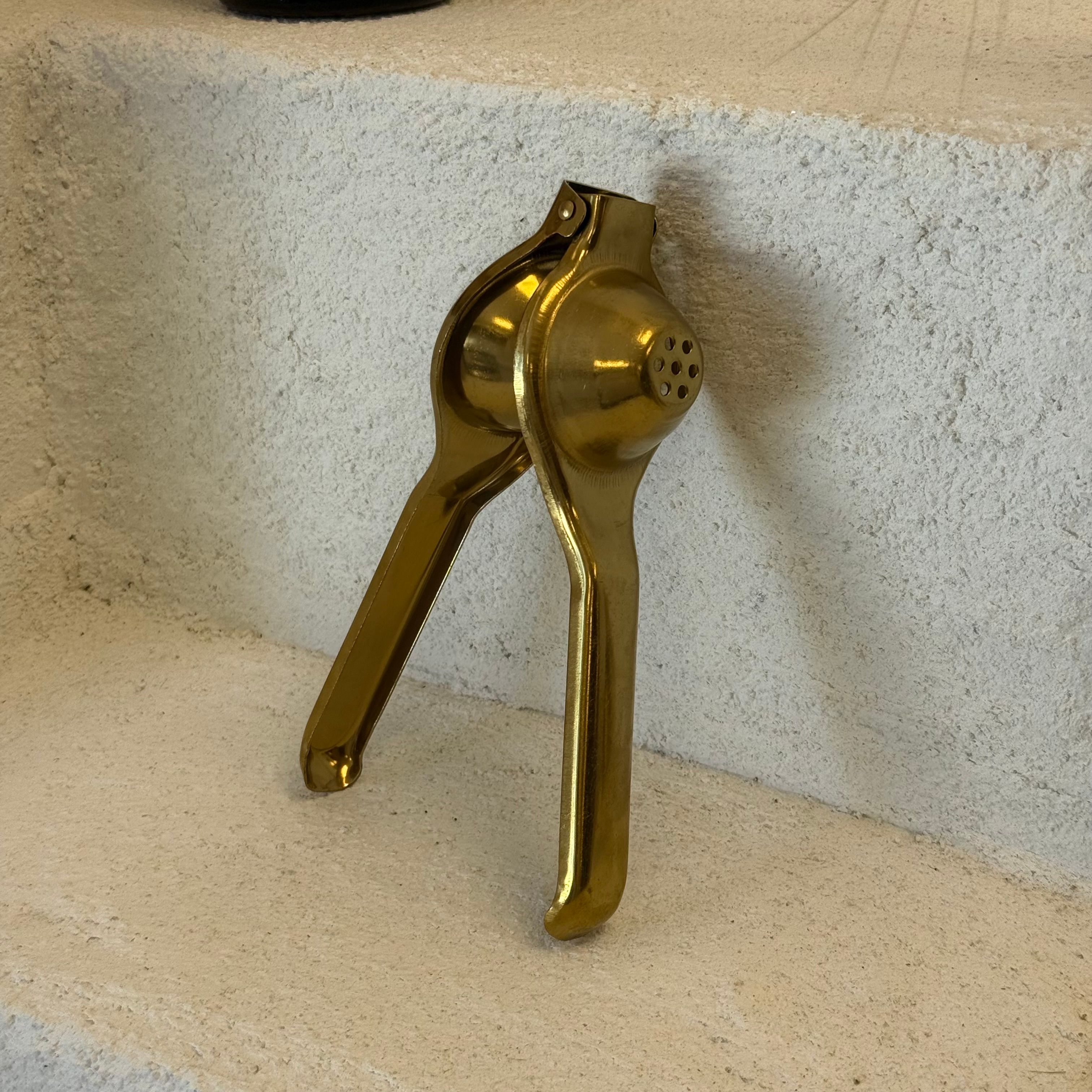 Barotti Limon Sıkacağı 20 cm Gold 