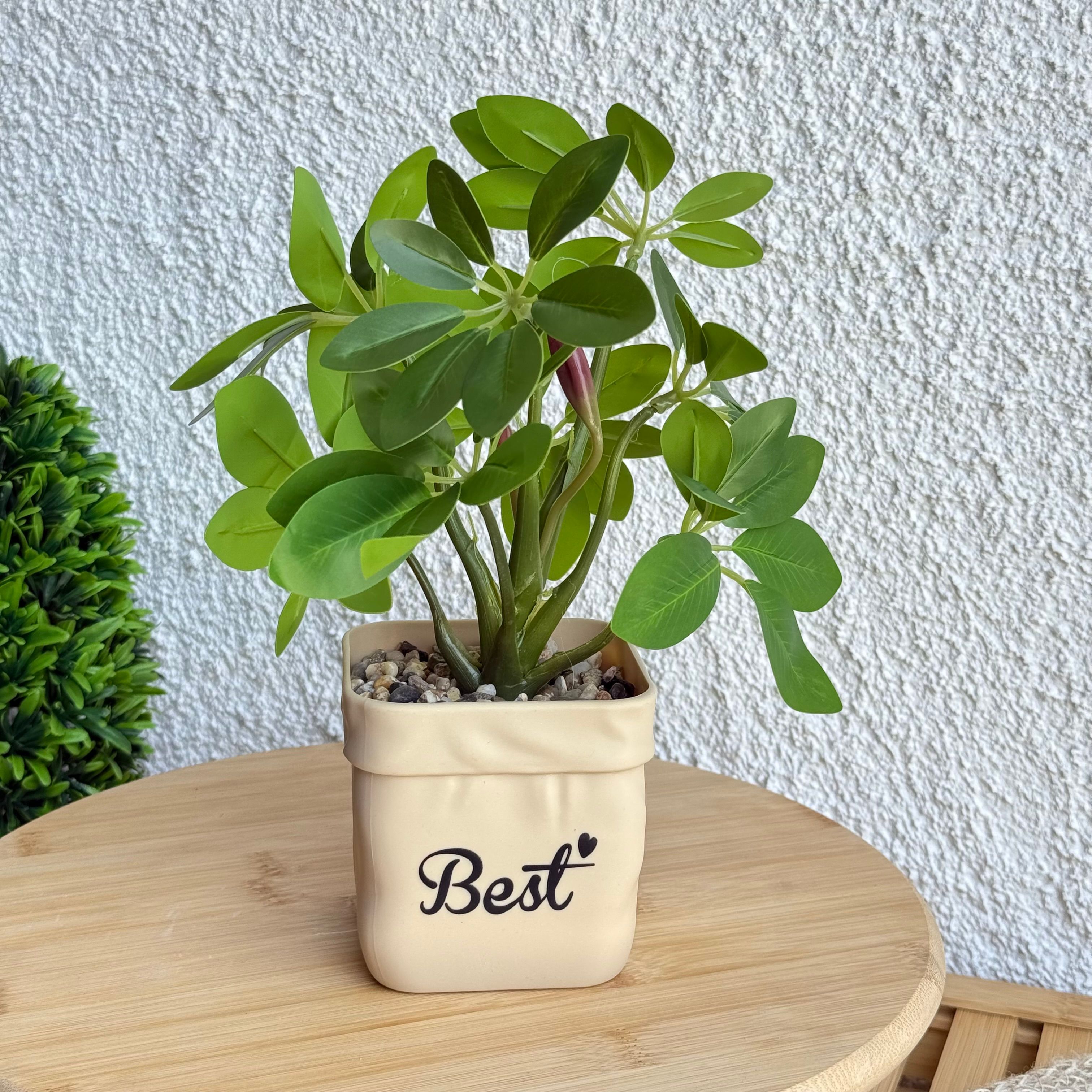 Best Saksılı Yapay Çiçek Yeşil 25 cm 