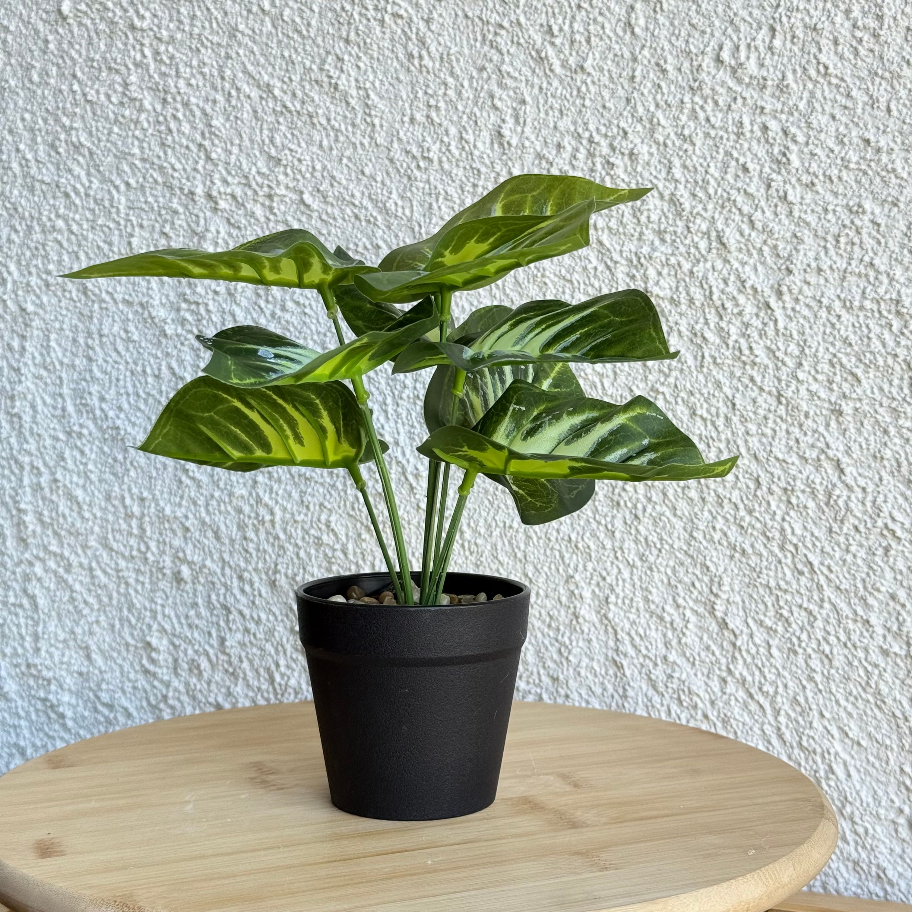 Difenbahya Saksılı Yapay Çiçek 25 cm Yeşil-Beyaz Yapraklı 