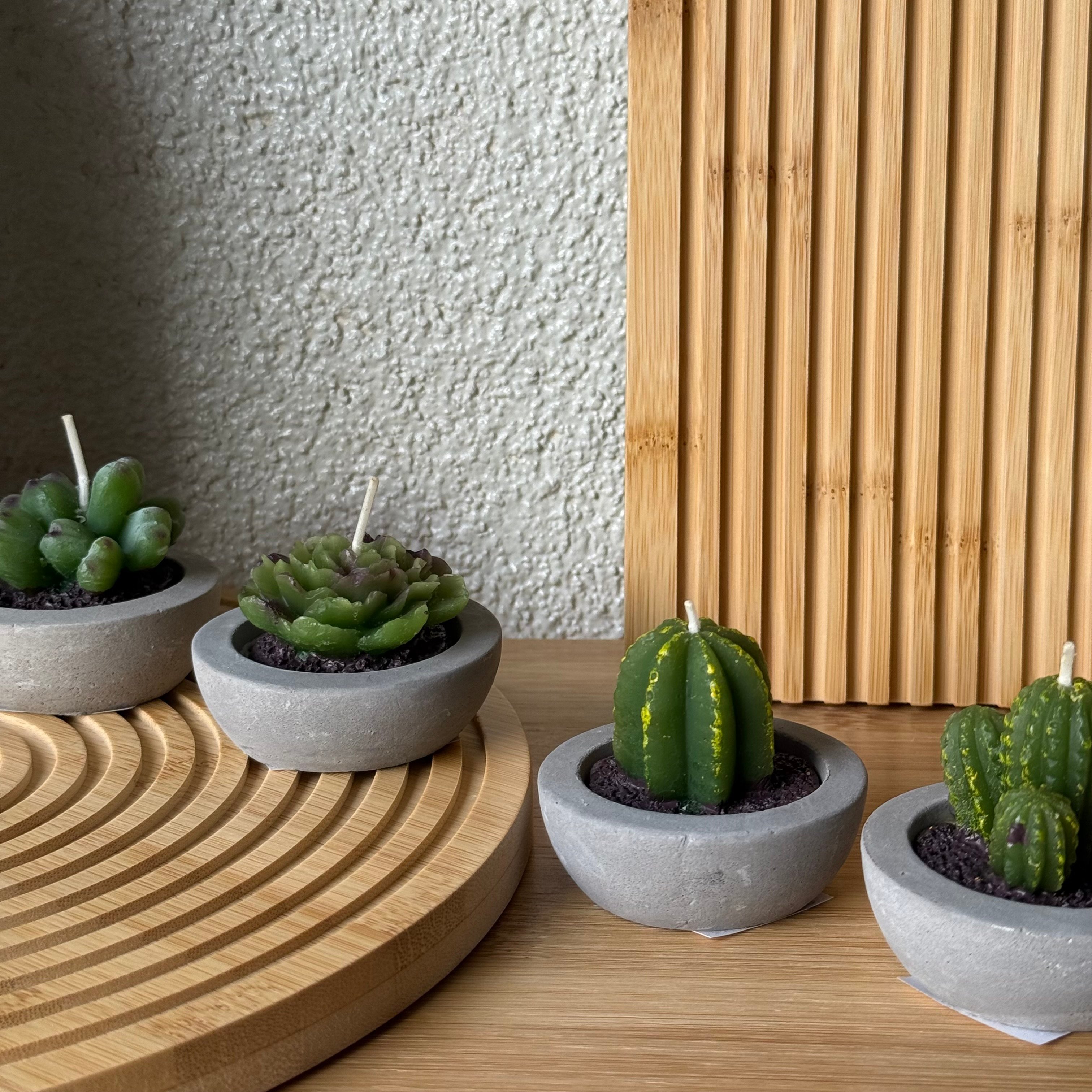 Kaktüs Saksılı Çiçek Mum Seti 4 Adet 6 CM 