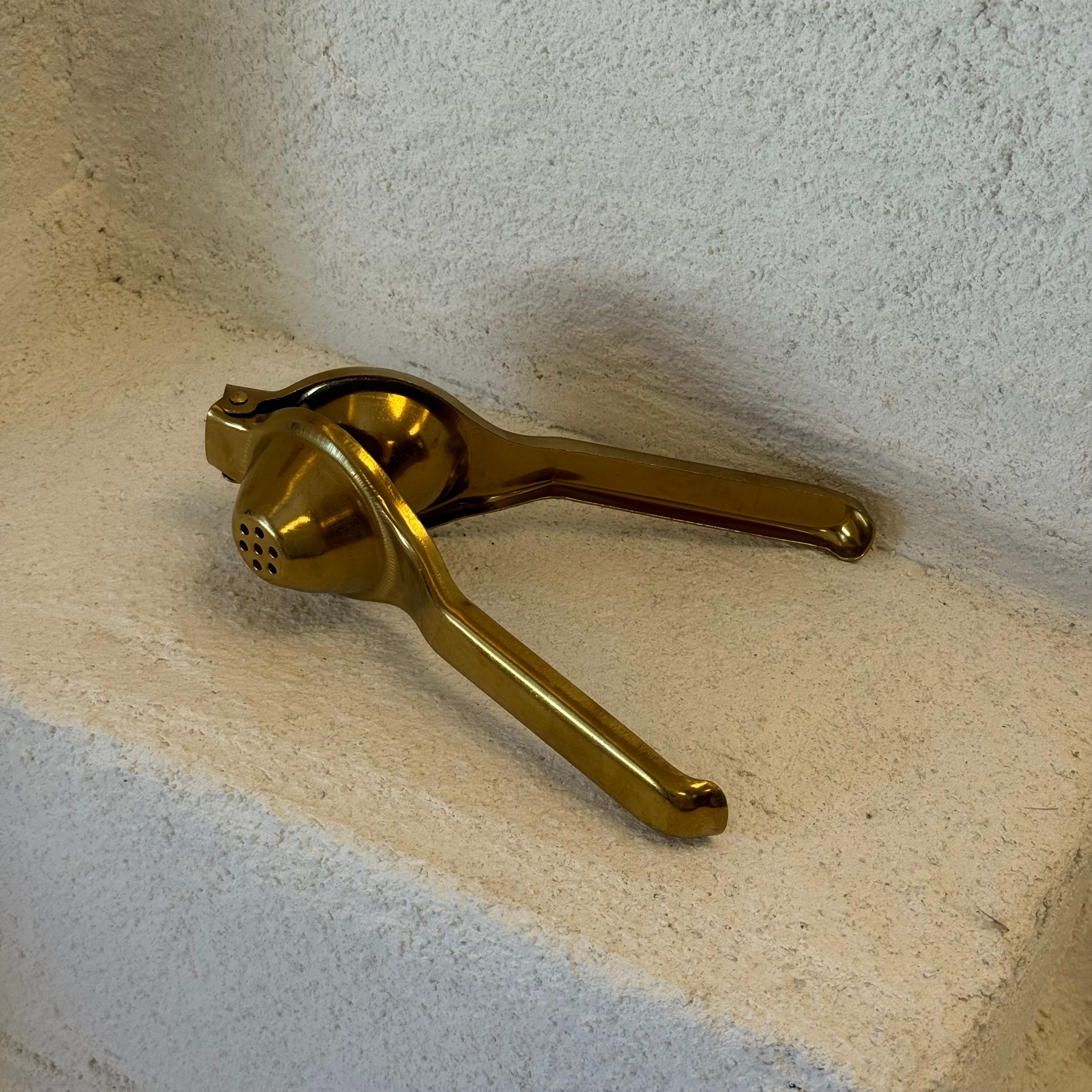 Barotti Limon Sıkacağı 20 cm Gold 