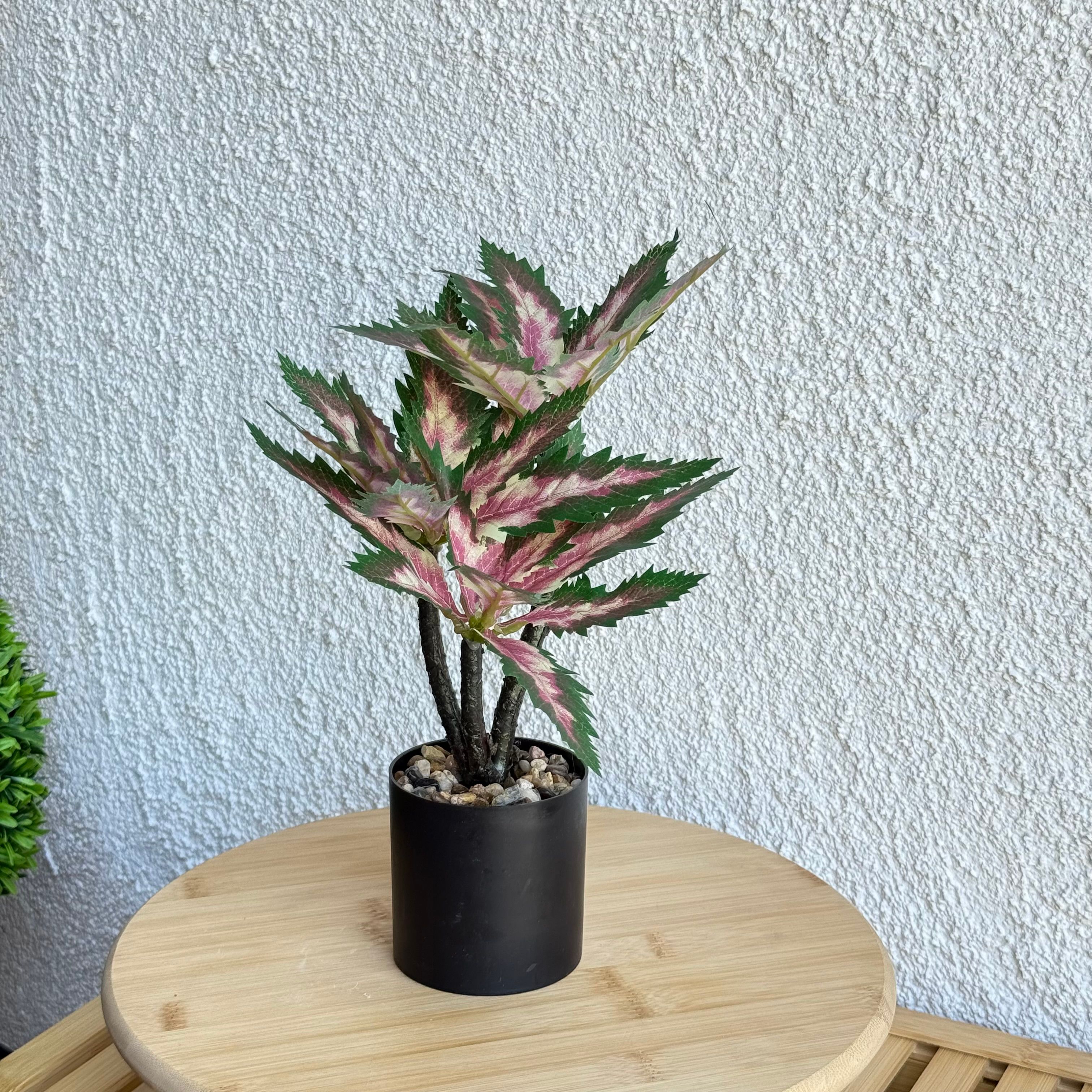 Coleus Saksılı Yapay Çiçek 30 cm Yeşil-Pembe 