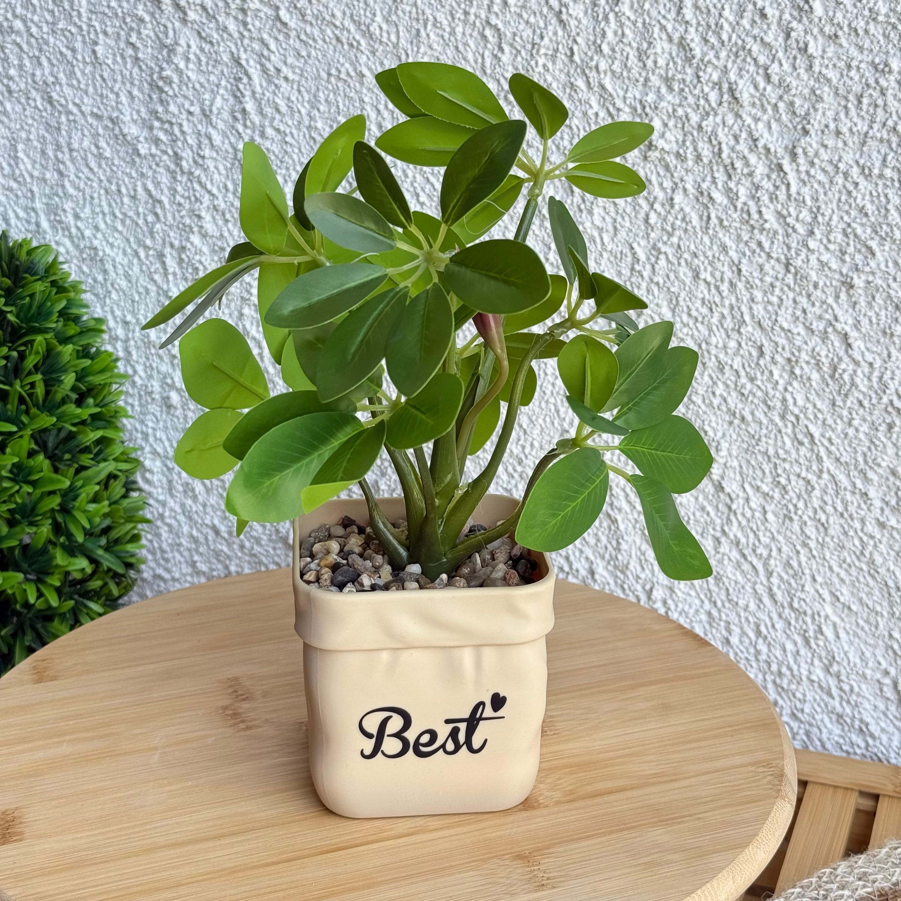 Best Saksılı Yapay Çiçek Yeşil 25 cm 