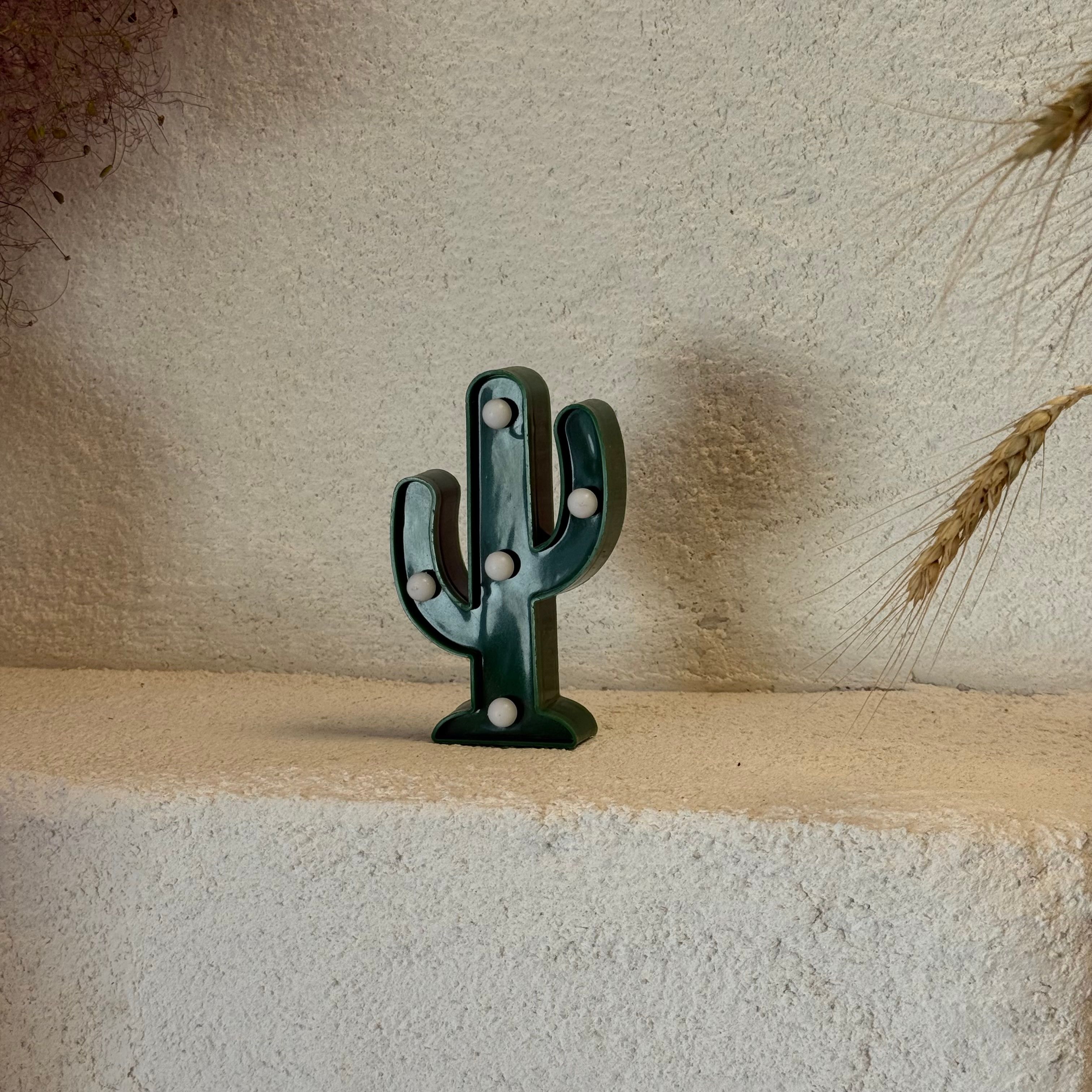 Kaktüs Lamba 12 cm 