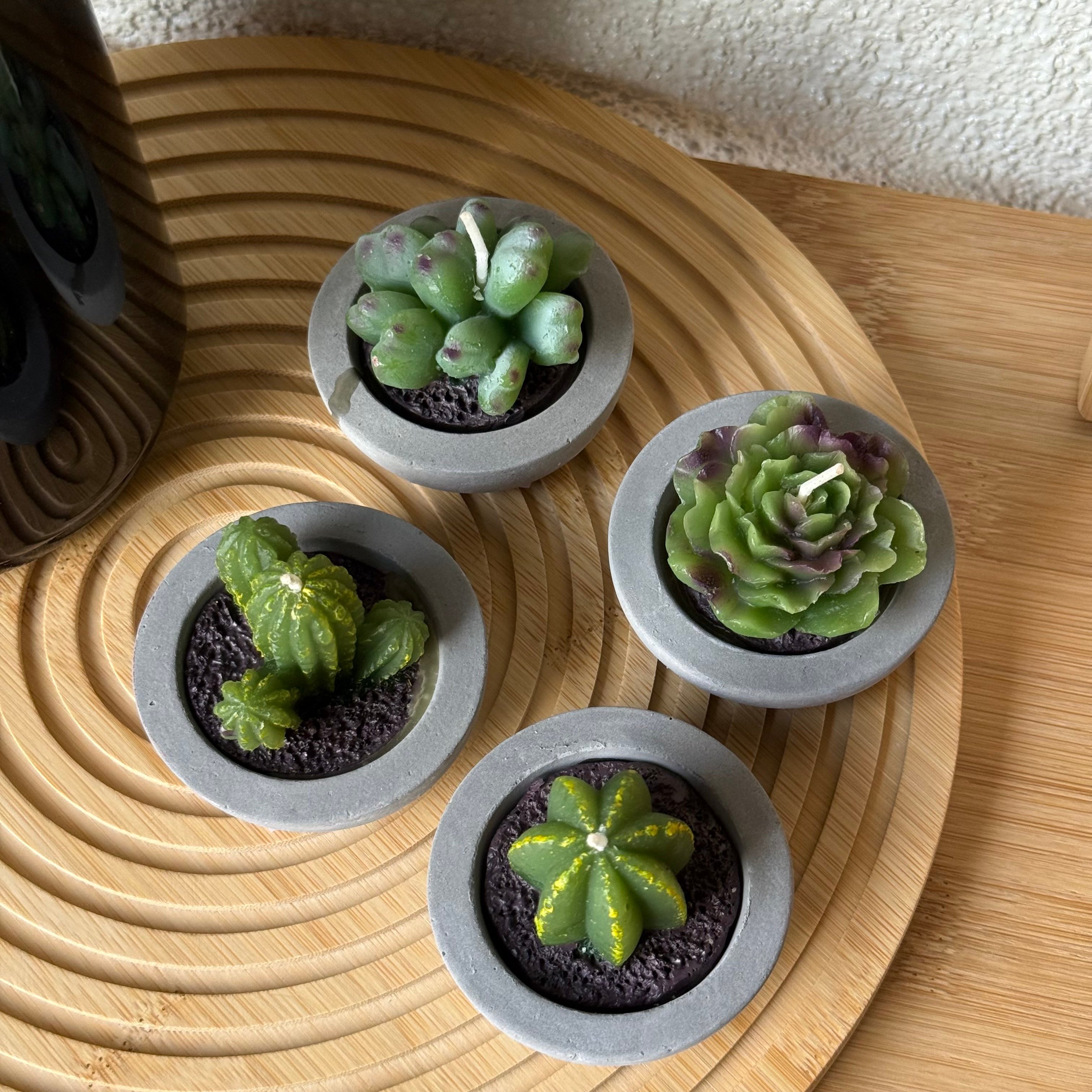 Kaktüs Saksılı Çiçek Mum Seti 4 Adet 6 CM 