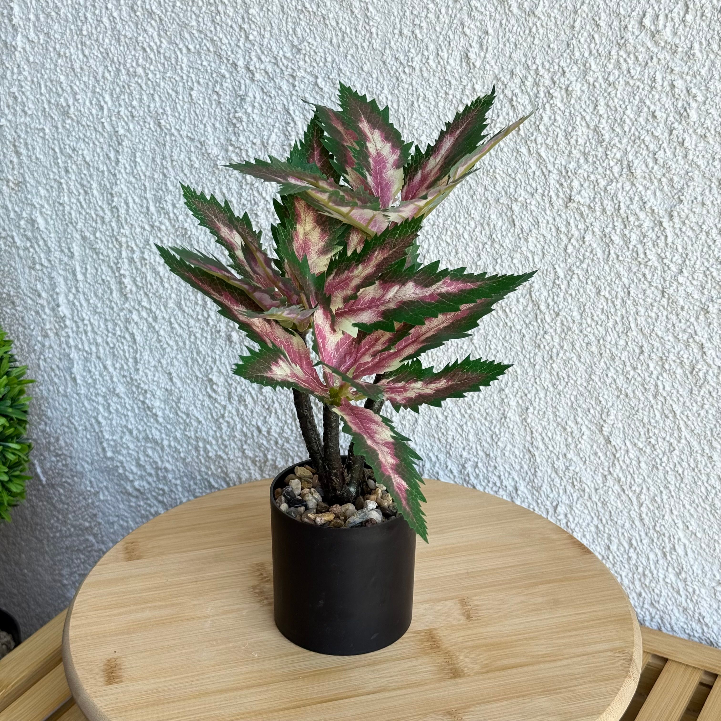 Coleus Saksılı Yapay Çiçek 30 cm Yeşil-Pembe 