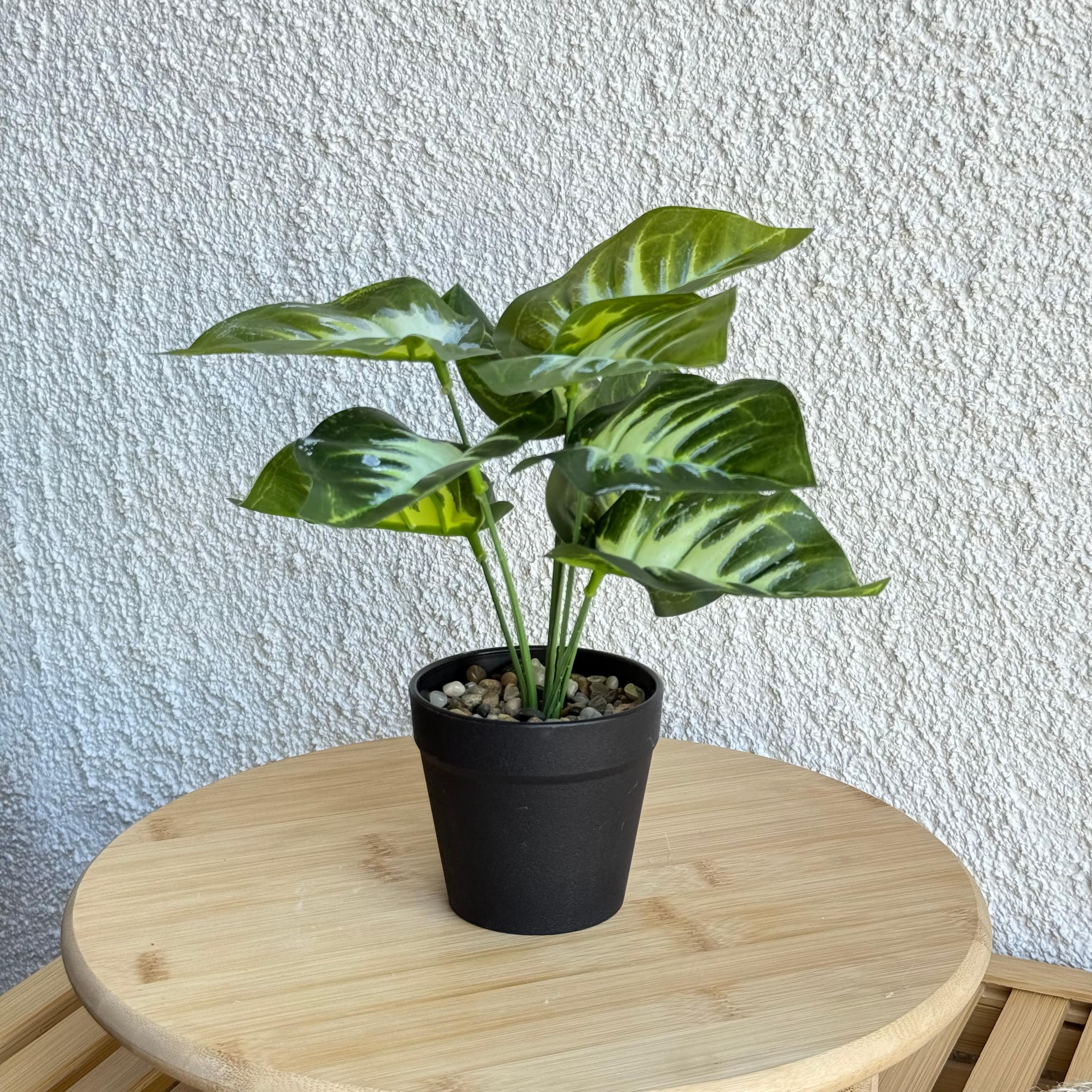 Difenbahya Saksılı Yapay Çiçek 25 cm Yeşil-Beyaz Yapraklı 