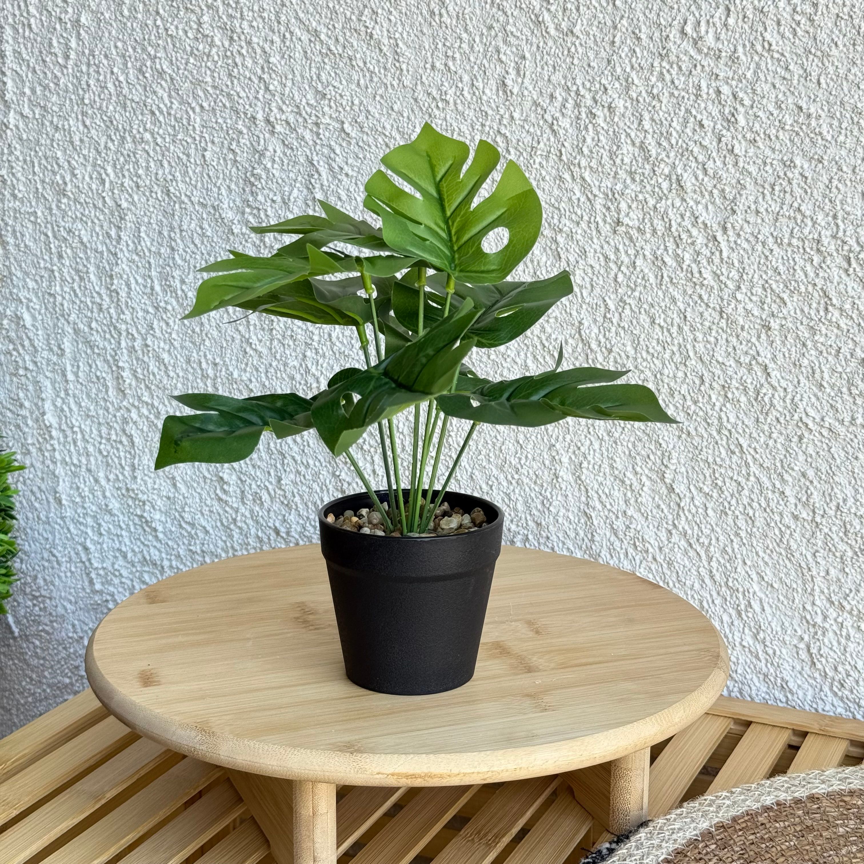 Difenbahya Saksılı Yapay Çiçek 25 cm Düz Yeşil Yapraklı 