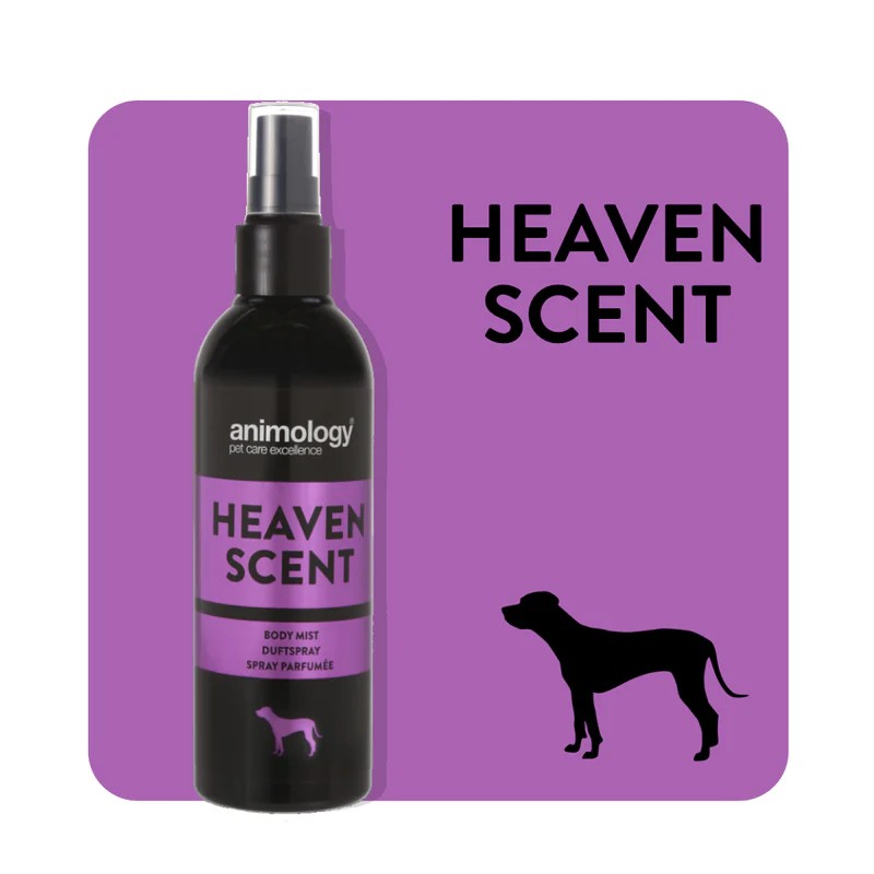 Animology Heaven Scent Fragrance Mist Köpek Parfümü 150 mL