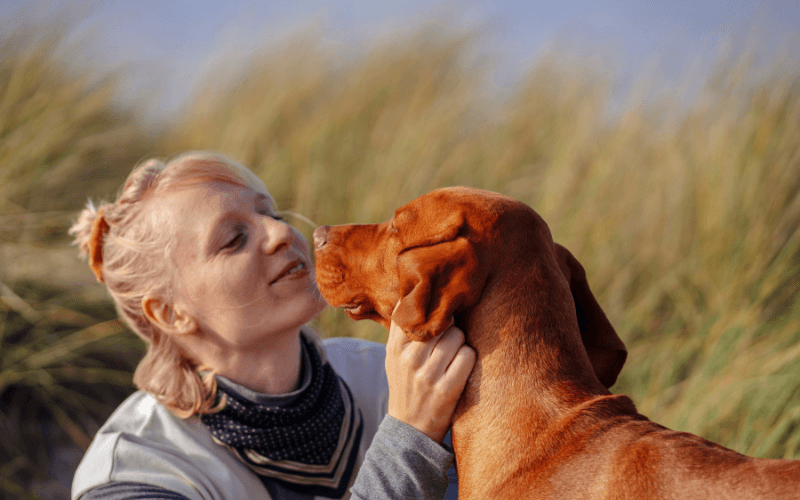 Köpeklerin Duygularını Anlatmak İçin Nelere Dikkat Edilir