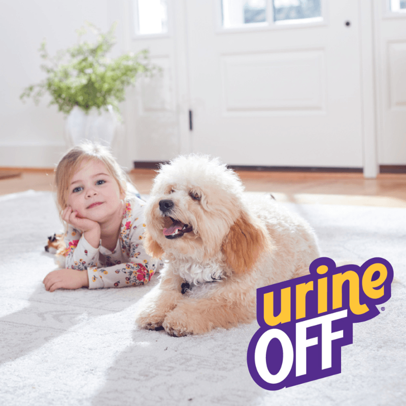 Urine Off Köpek İdrar Koku Giderici 500 mL