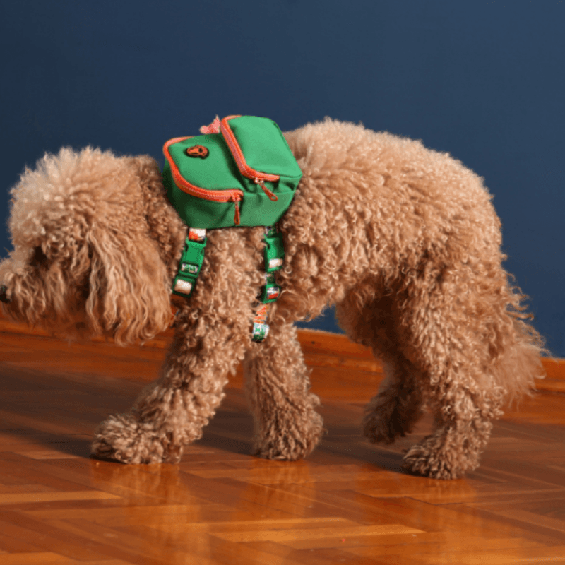 Pawlook Gimme Five Köpek Sırt Çantası ve Göğüs Tasması Green