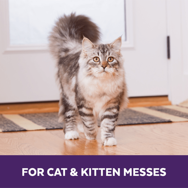 Urine Off Kedi İdrar Koku Giderici 500 mL