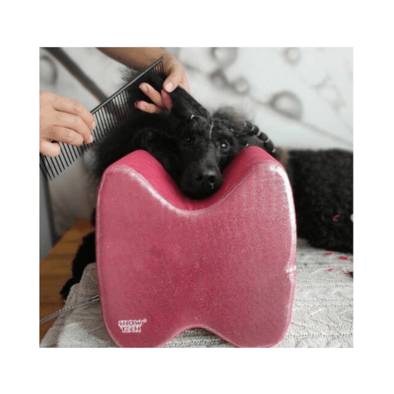 Show Tech Top Knot Gösterişli Kırmızı Standart Poodle İçin Köpek Tıraş Yastığı Large