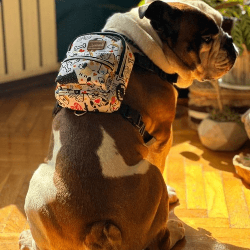 Pawlook Street Smart Köpek Sırt Çantası ve Göğüs Tasması WhiteBone