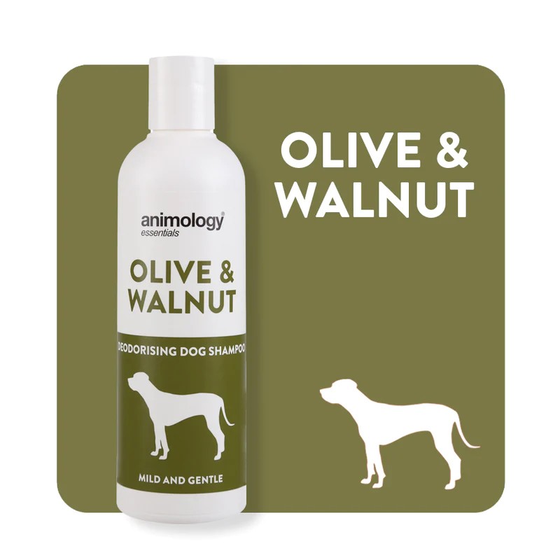 Animology Essentials Olive & Walnut Köpek Şampuanı 250 mL