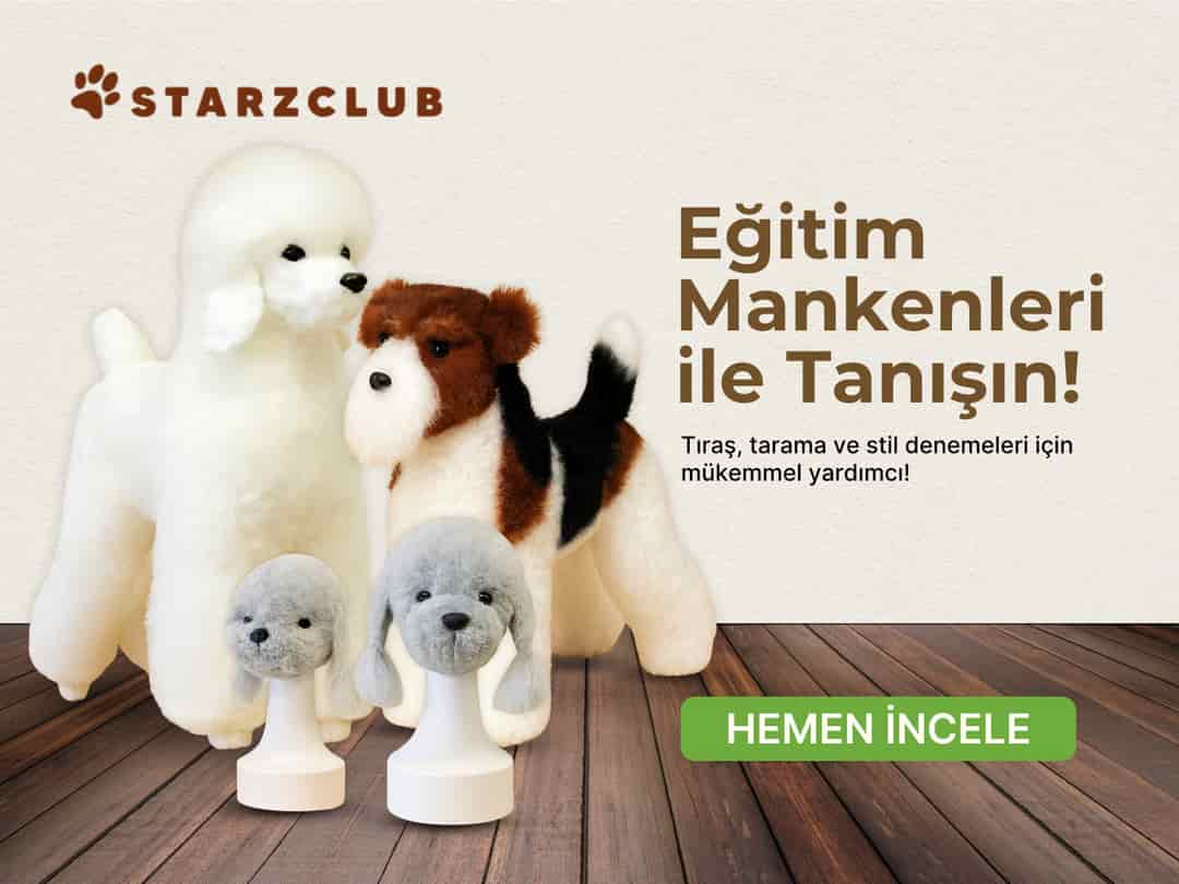 Eğitim Mankenleri