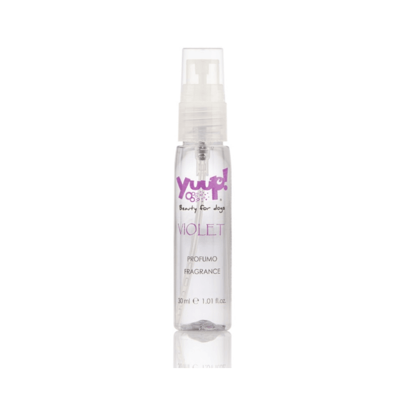 YUUP! Home Renkli Stil Parfüm 30 mL (Violet)