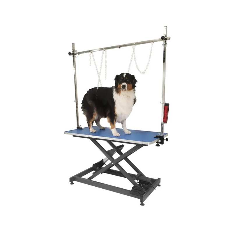 Evolutech X-Frame Elektrikli Pet Kuaför Masası Mavi (120 cm x 60 cm)
