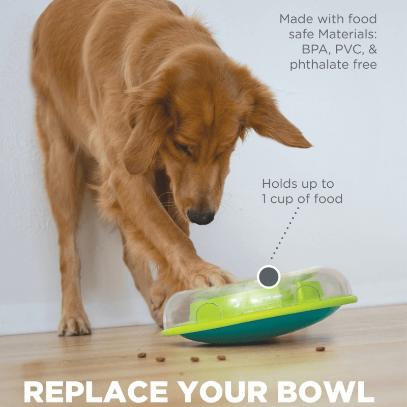 Outward Hound Wobble Bowl İnteractive Puzzle Köpek Zeka Oyuncağı