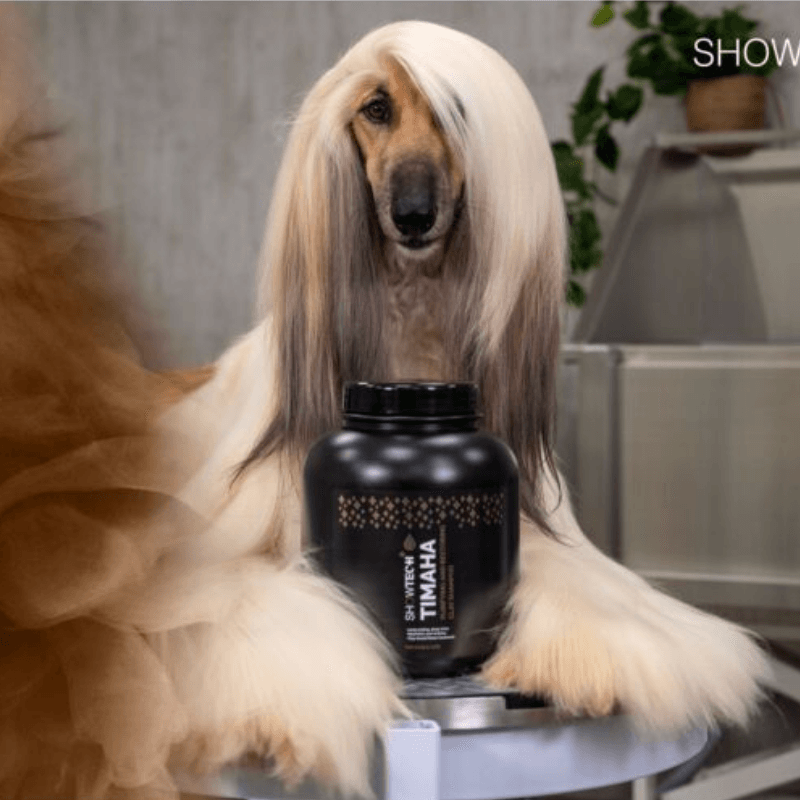Show Tech+ Timaha Clay Arındırıcı ve Onarıcı Detoks Kedi ve Köpek Şampuanı 1 Lt