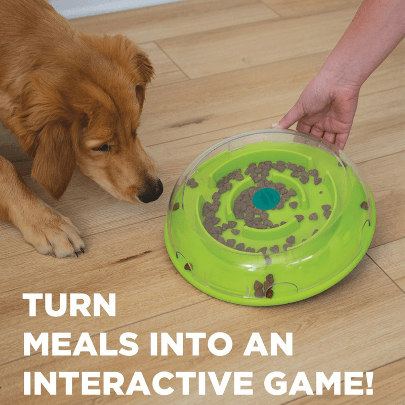 Outward Hound Wobble Bowl İnteractive Puzzle Köpek Zeka Oyuncağı