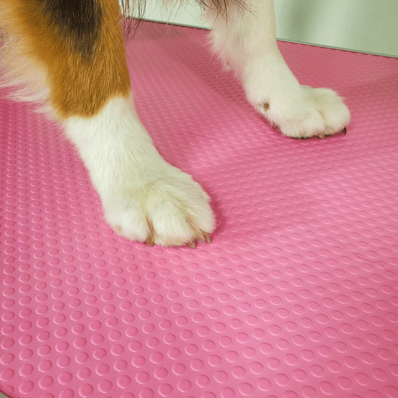 Evolutech X-Frame Elektrikli Pet Kuaför Masası