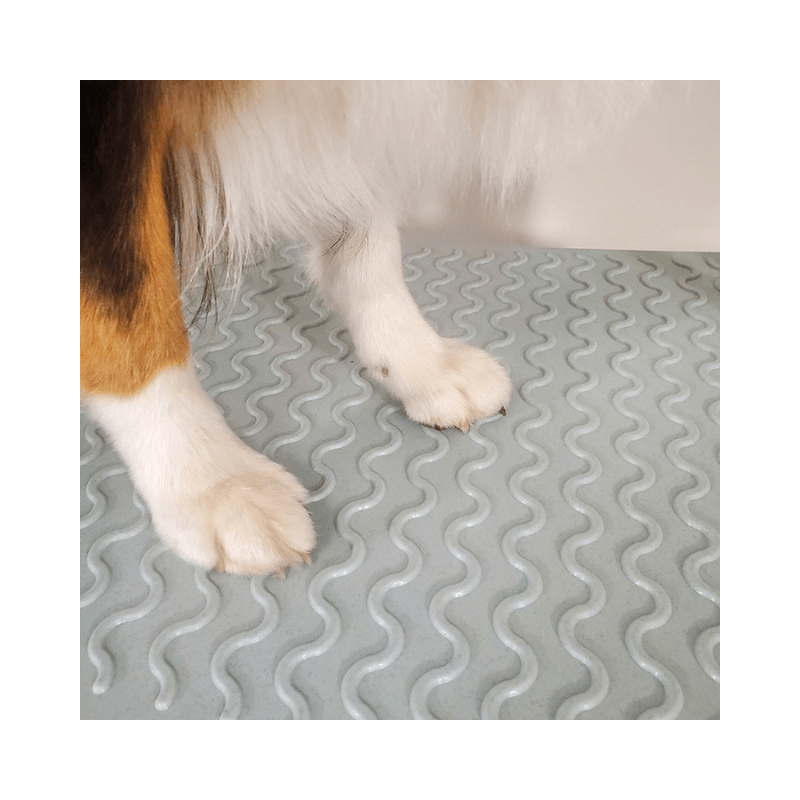Evolutech Elektrik Motorlu Pet Kuaför Masası Fuşya (130 cm x 60 cm)