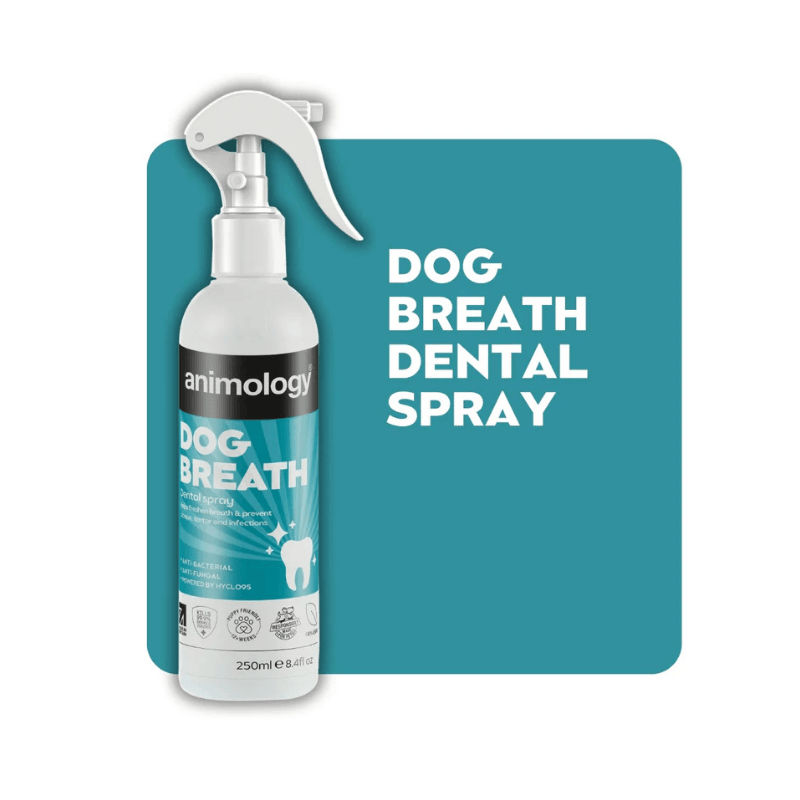 Animology Dog Breath Dental Köpek Ağız ve Diş Bakım Spreyi 250 mL