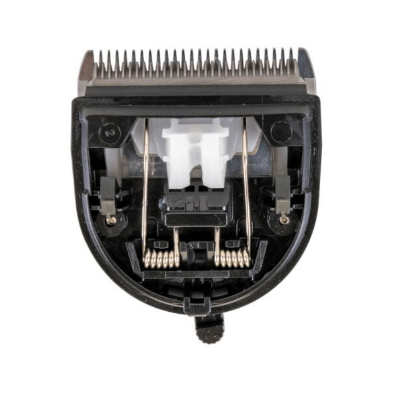 Show Tech Experto Uyumlu (0,5 mm - 3 mm) Titanium 5 Kademeli Yedek Tıraş Bıçağı