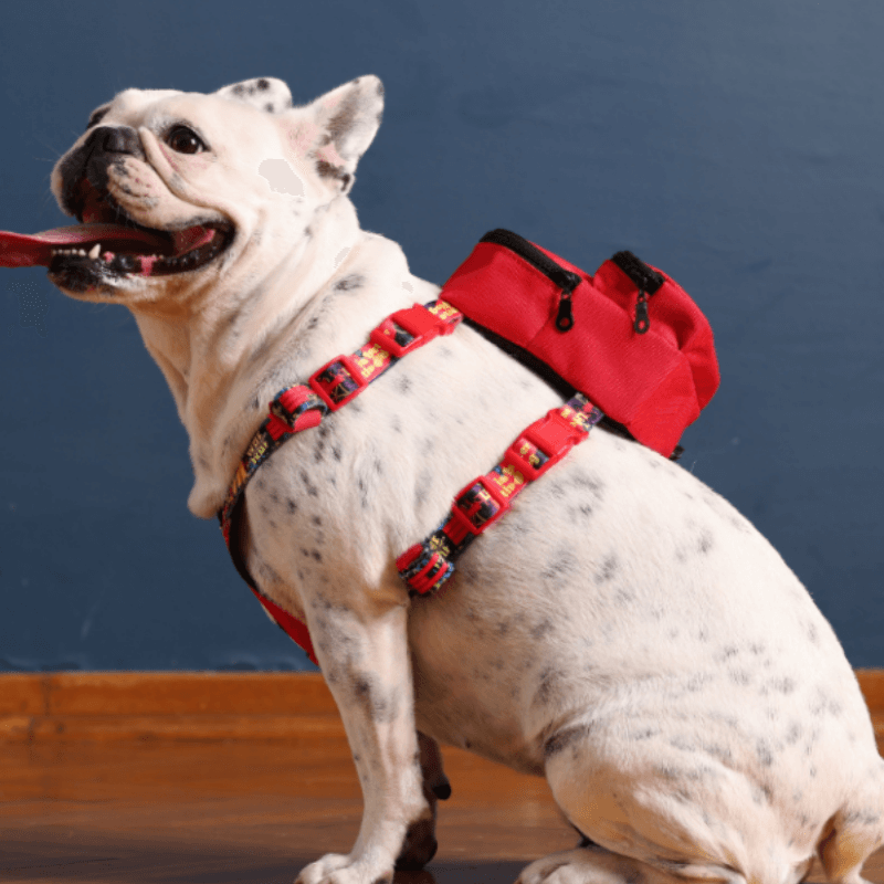 Pawlook Gimme Five Köpek Sırt Çantası ve Göğüs Tasması Red