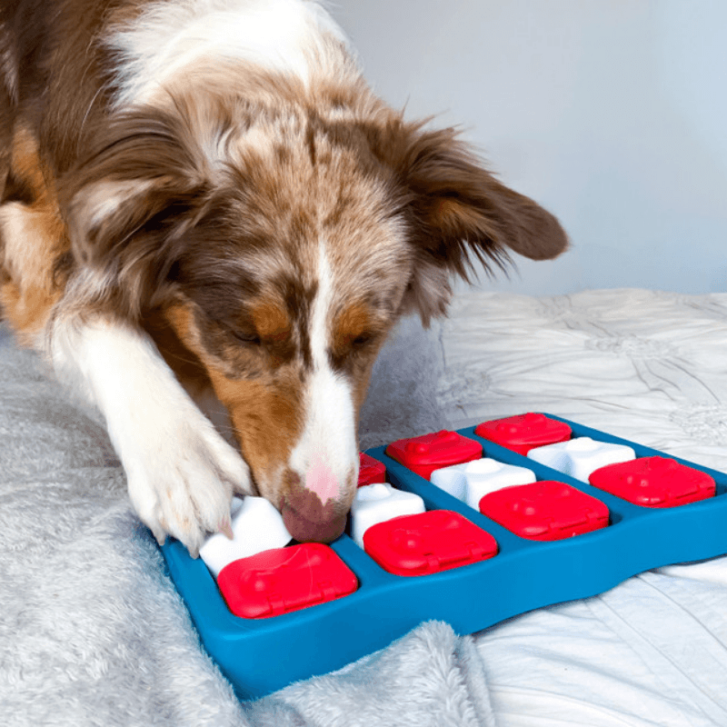 Outward Hound Dog Brick İnteractive Puzzle Köpek Zeka Oyuncağı