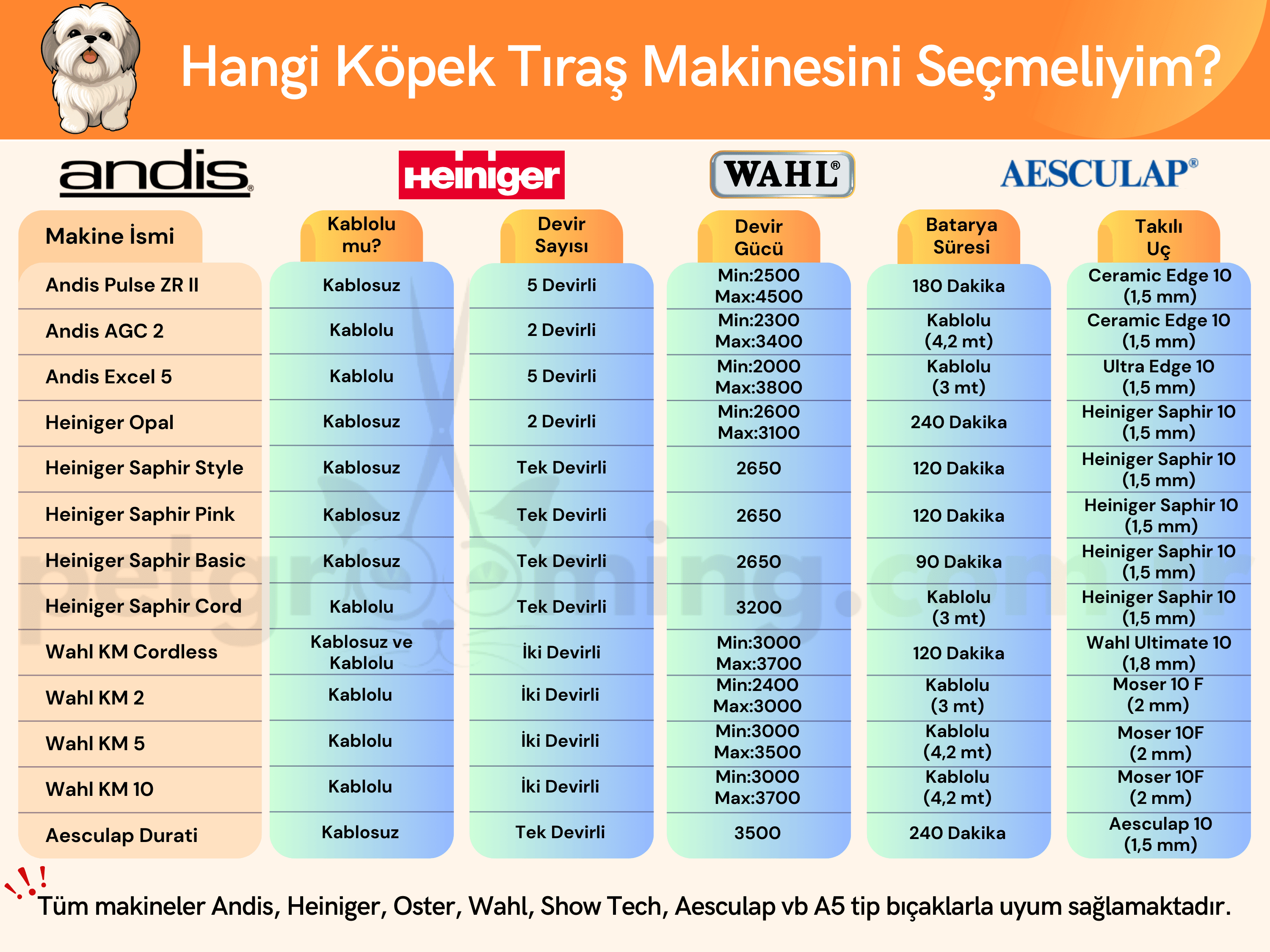 En İyi Köpek Tıraş Makinesi Tavsiyeleri ve Marka Karşılaştırmaları