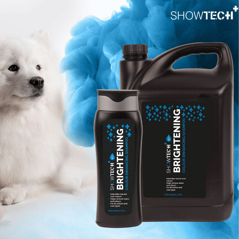 Show Tech+ Brightening Parlatıcı Etkili 35:1 Konsantre Kedi Köpek Şampuanı 300 mL