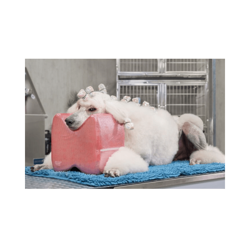 Show Tech Top Knot Gösterişli Kırmızı Standart Poodle İçin Köpek Tıraş Yastığı Large