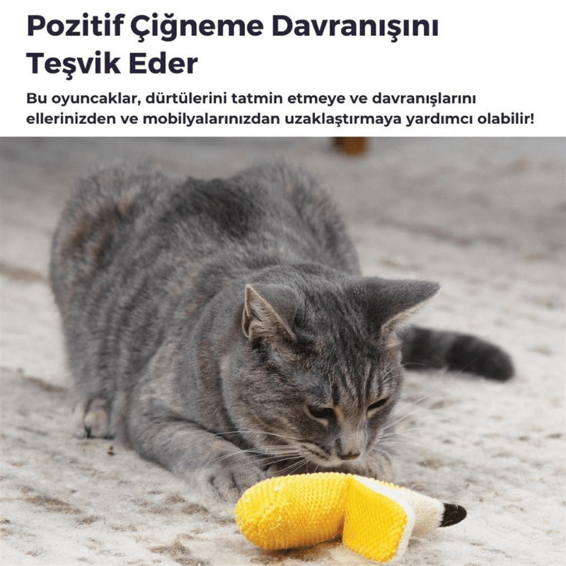 Petstages Dental Banana Ağız Bakım Kedi Oyuncağı